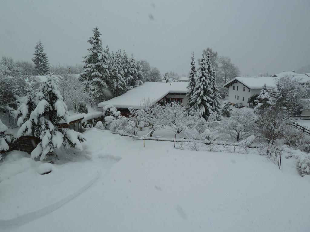 Gastehaus Frischhut Otel Nassereith Dış mekan fotoğraf